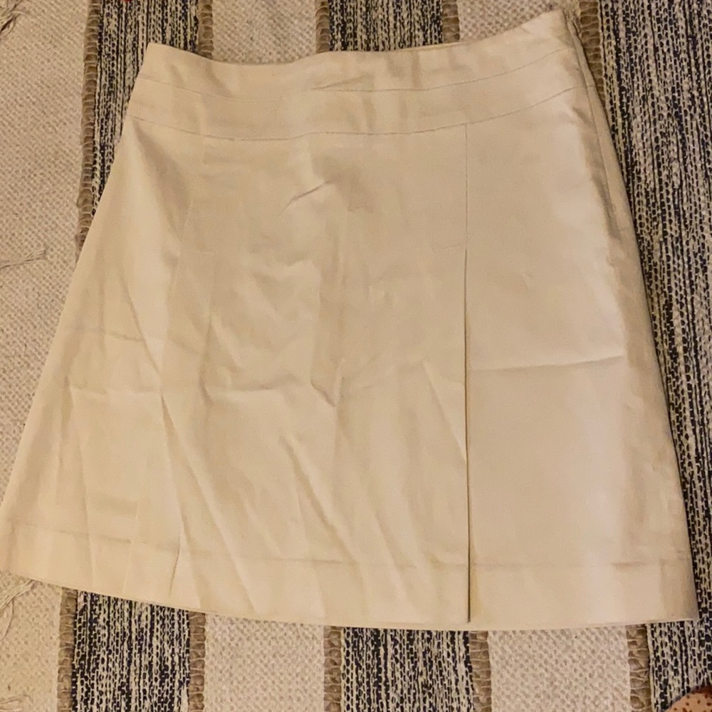 Banana Republic Mini Skirt